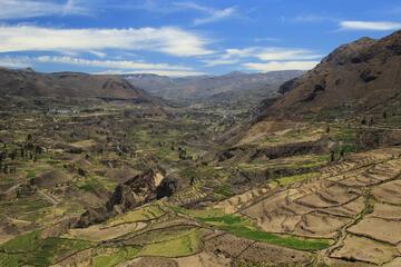 Colca Terrassen Colca Terrassen